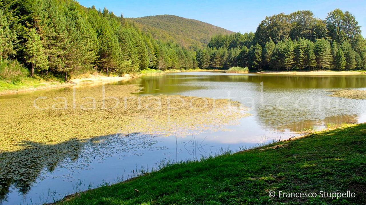 Apartament Montesanto 116 Cosenza Zewnętrze zdjęcie